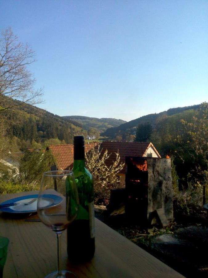 Fewo Pacohaus Naehe Willingen Diemelsee Brilon Exterior foto