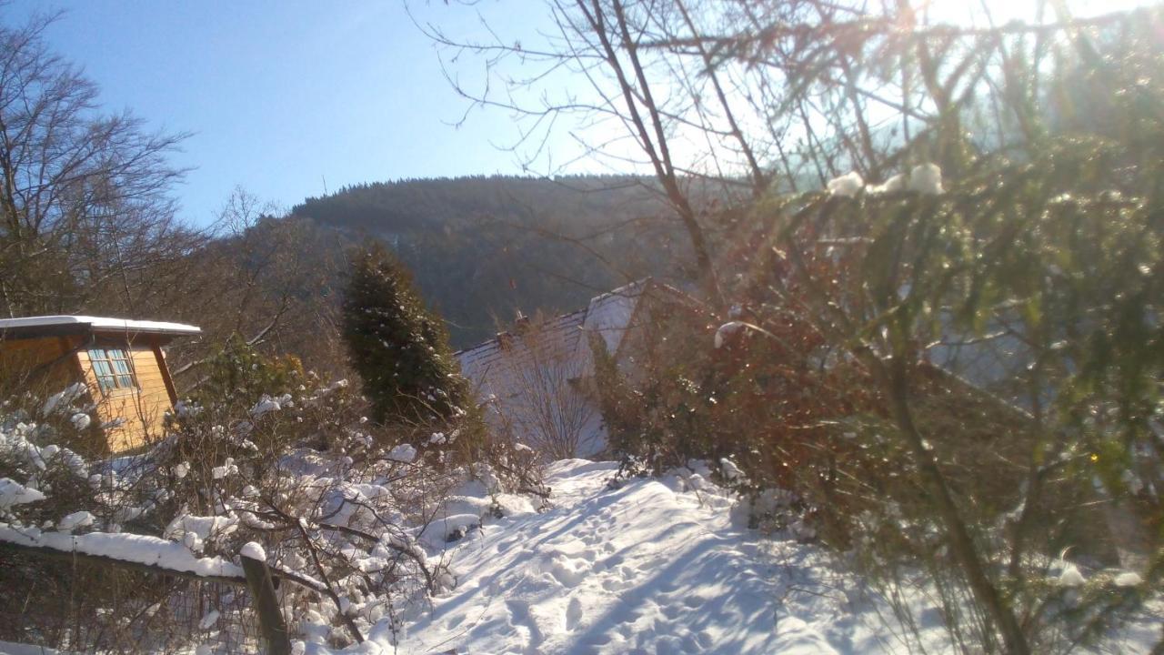 Fewo Pacohaus Naehe Willingen Diemelsee Brilon Exterior foto