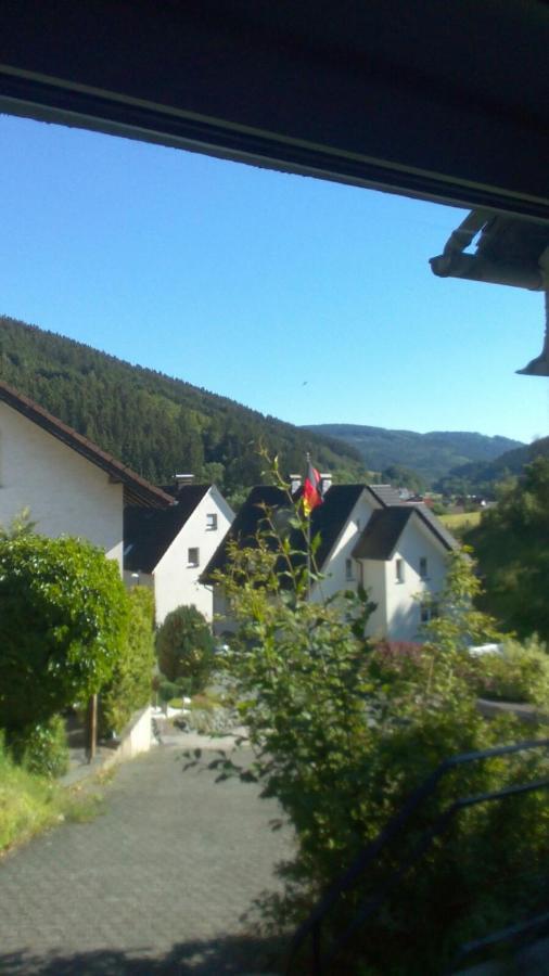 Fewo Pacohaus Naehe Willingen Diemelsee Brilon Exterior foto