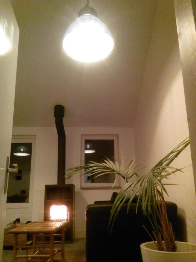 Fewo Pacohaus Naehe Willingen Diemelsee Brilon Exterior foto