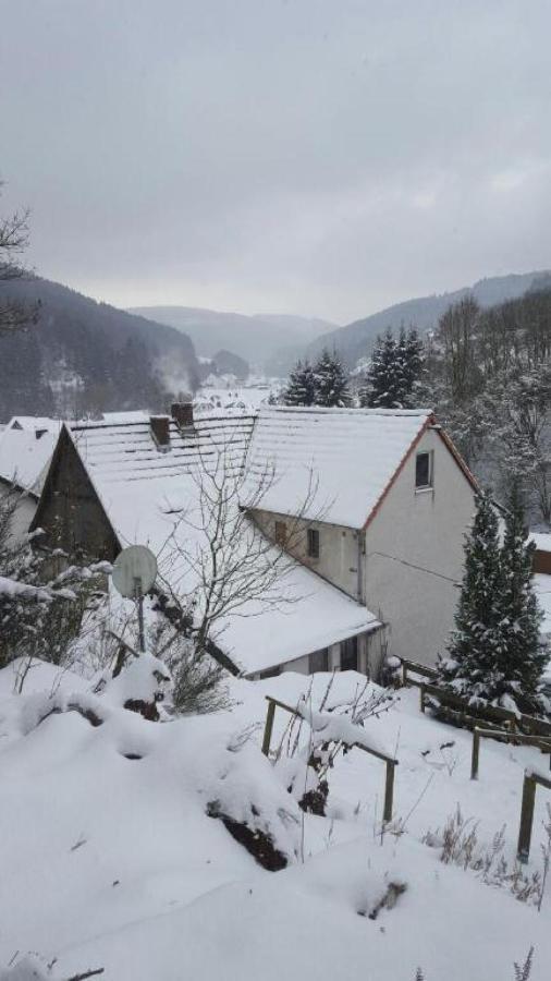 Fewo Pacohaus Naehe Willingen Diemelsee Brilon Exterior foto