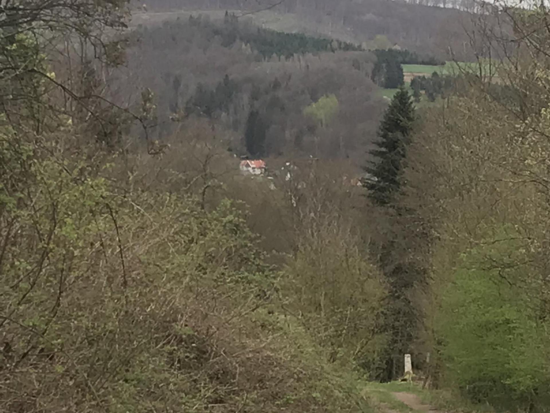 Fewo Pacohaus Naehe Willingen Diemelsee Brilon Exterior foto